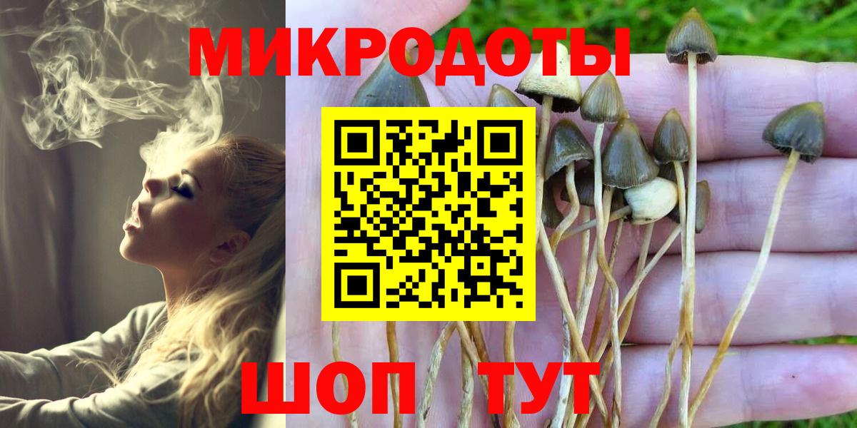 Сергиев Посад  сколько стоит  Вход с VPN  Галлюциногенные грибы Cubensis 