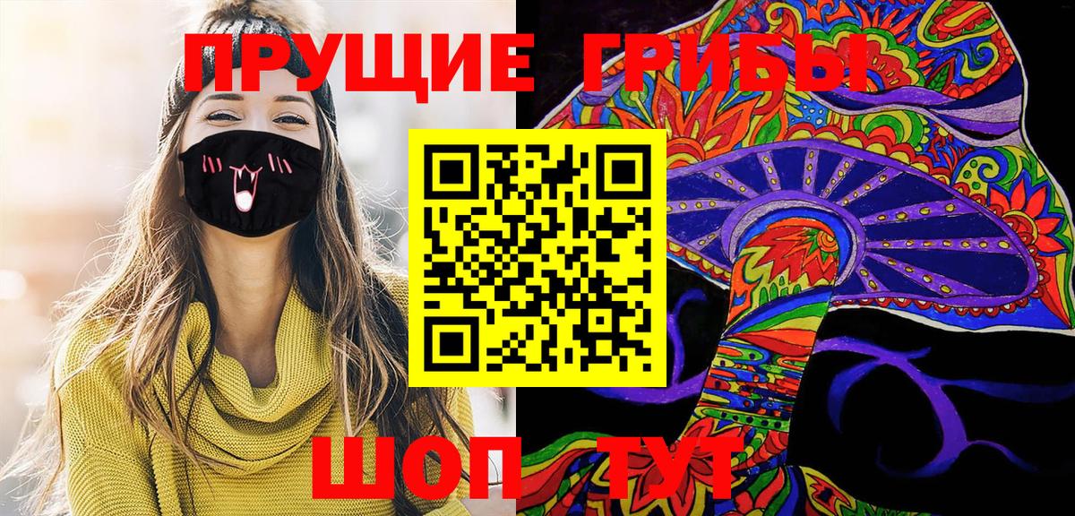 Псилоцибиновые грибы Cubensis Сергиев Посад
